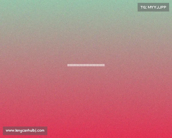 迪马济奥透露罗马未能满足狼队对法比奥席尔瓦的高价要求